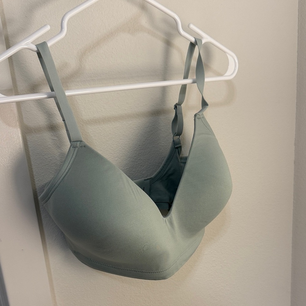 Third Love Form Fit 360 Bra in Sea foam Green and mid blue